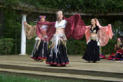 veildance4.jpg